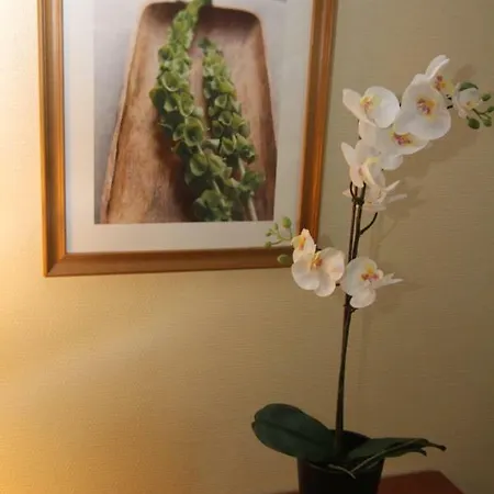 Hotel Pii 2*